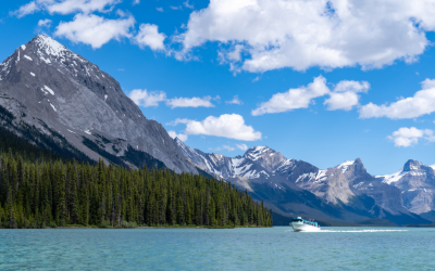 Parliamentary Hearings On Jasper Wildfire Reveal Need For More Long-Term Planning