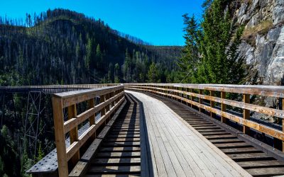 Dangers of Fires in Canyons Studied