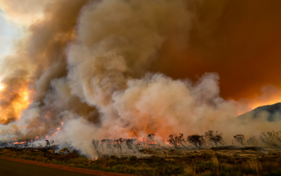 British Columbia wildfires generate record emissions for May