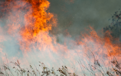 Post Fire holds at 15,000 acres near Gorman, as containment increases