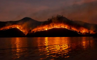 BCWS anticipating busy wildfire season, but not as extreme as record-breaking 2023