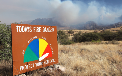 Yellowknife to Fort McMurray: lessons from the frontlines of Canada’s worst wildfires.